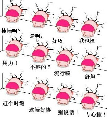 谁疼谁知道　创业不慎就是撞墙