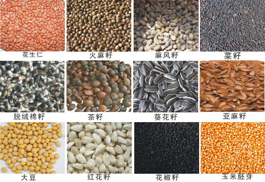 告诉大家食用油的一些内幕